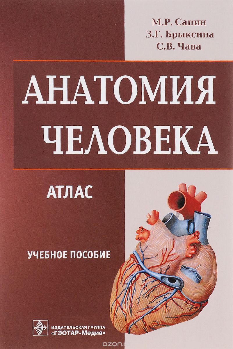 Скачать книгу "Анатомия человека. Атлас для медицинских училищ и колледжей, М. Р. Сапин, З. Г. Брыскина, С. В. Чава"