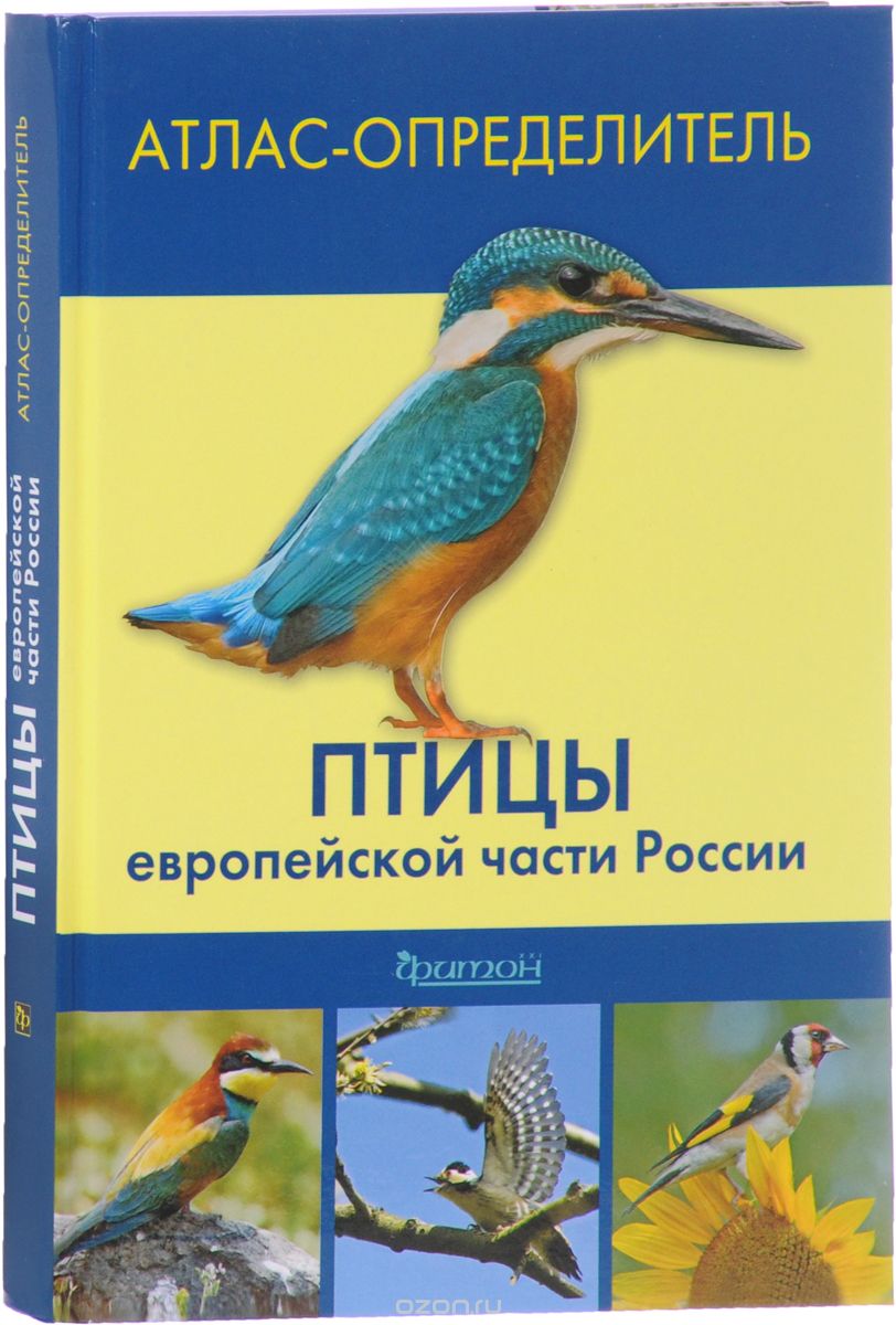 Скачать книгу "Птицы европейской части России. Атлас-определитель"