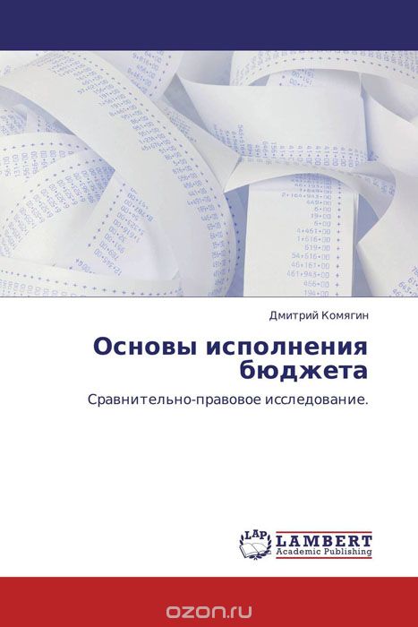Основы исполнения бюджета, Дмитрий Комягин