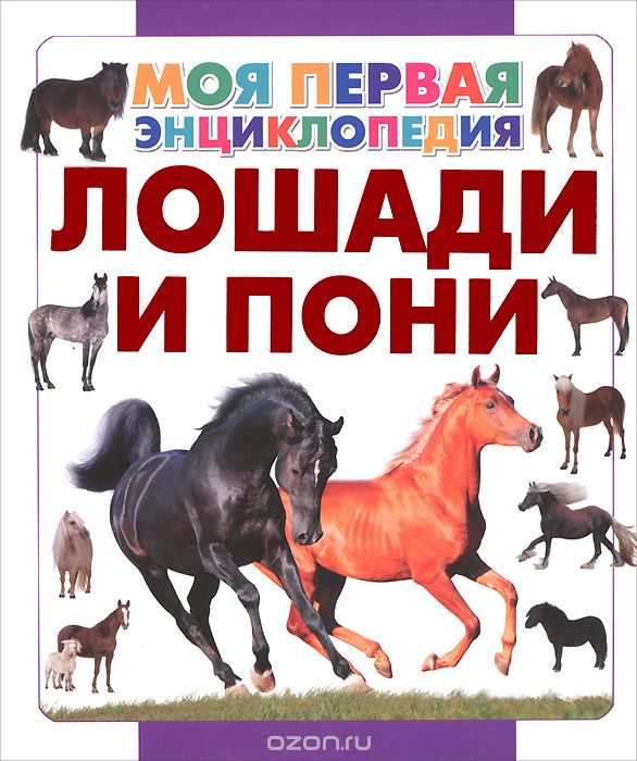 Скачать книгу "Лошади и пони, А. А. Спектор"