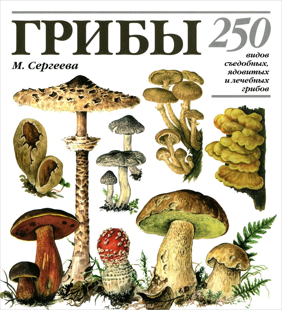 Скачать книгу "Грибы. 250 видов съедобных, ядовитых и лечебных грибов, М. Н. Сергеева, Н. Г. Замятина, Л. В. Гарибова"