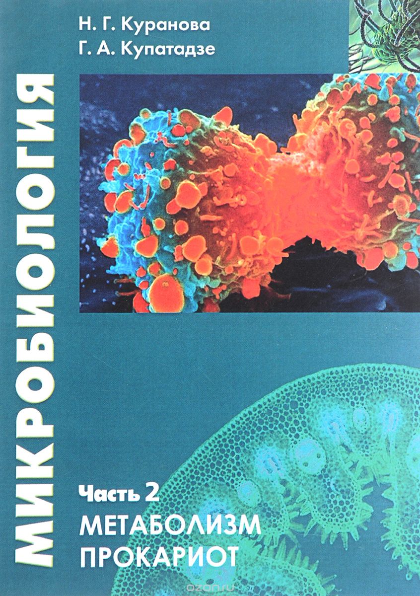 Скачать книгу "Микробиология. Часть 2. Метаболизм прокариот, Н. Г. Куранова, Г. А. Купатадзе"