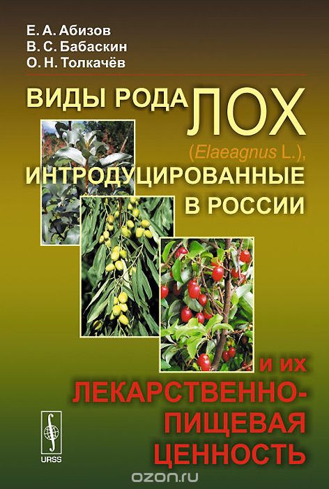 Виды рода лох (Elaeagnus L.), интродуцированные в России, и их лекарственно-пищевая ценность, Е. А. Абизов, В. С. Бабаскин, О. Н. Толкачев